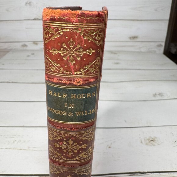 Half Hours in Woods and Wilds 1883 HC Wm. Isbister Leather Spine Gift - Picture 3 of 16
